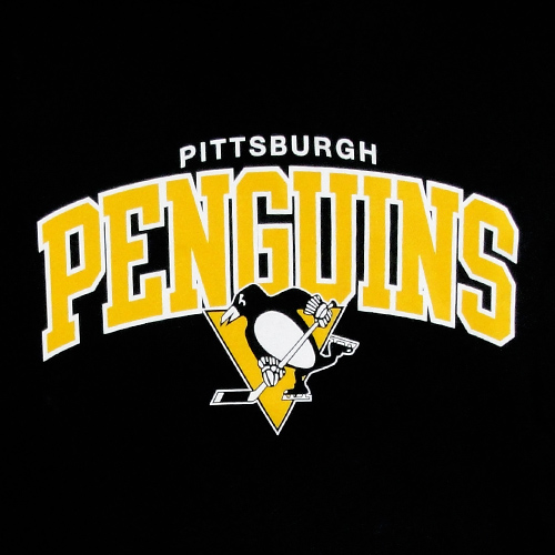 Pittsburgh-Penguins-NHL-Team-Colors-Arch-Logo-Mitchell-And-Ness-2.jpg