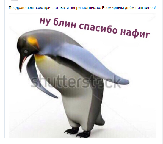 Безымянный.png